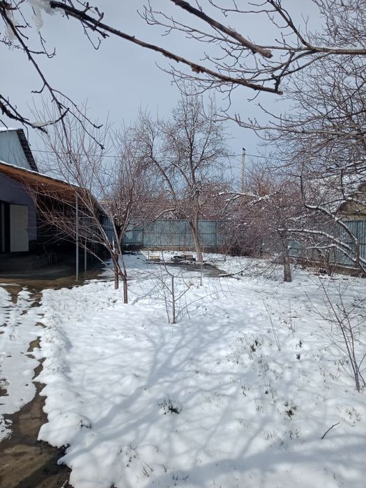 Дача кайнар булак.