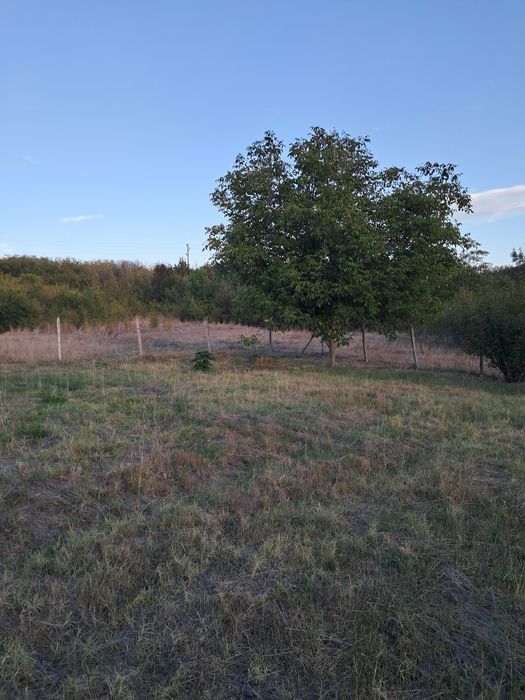 Продава се Къща в Меричлери - 120 кв.м за 306 €/кв.м - Снимка #7