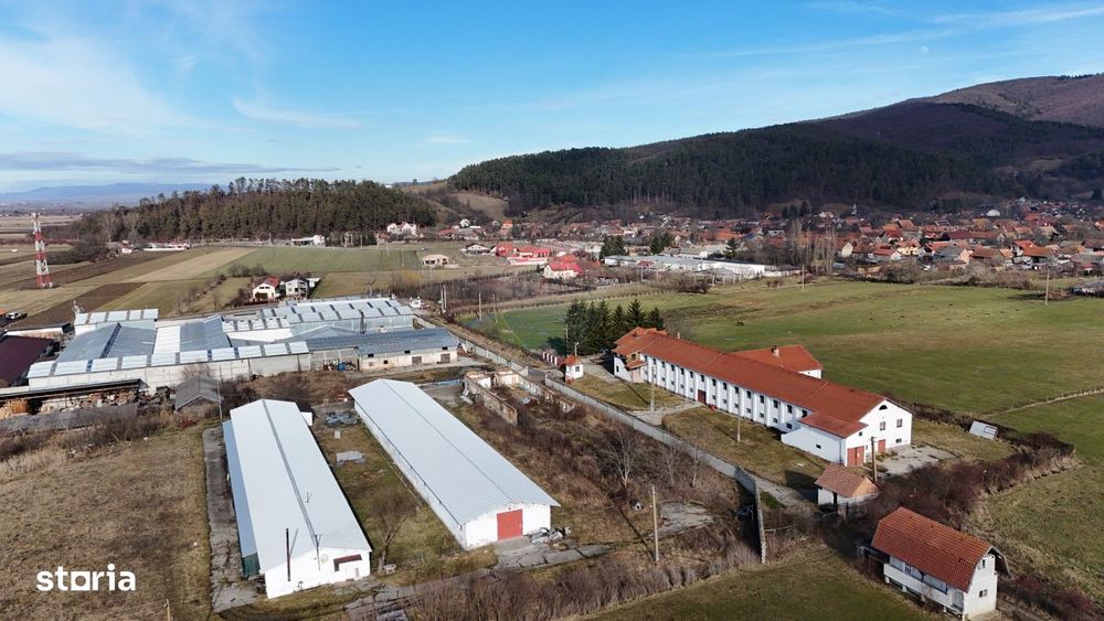 Teren industrial 1.729 mp I Demolare + construcție hală Teliu