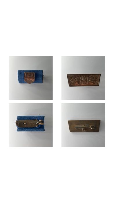 Colecție de insigne comuniste