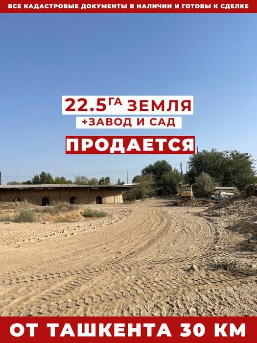 Инвестиционный объект для масштабного производства!