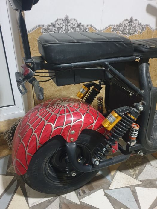 Коко сити 2025 зор