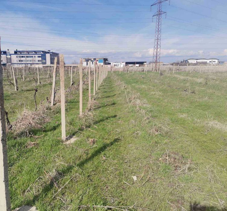 Дава се под наем Парцел в Пловдив, Беломорски - 1000 кв.м за 51 € - Снимка #4