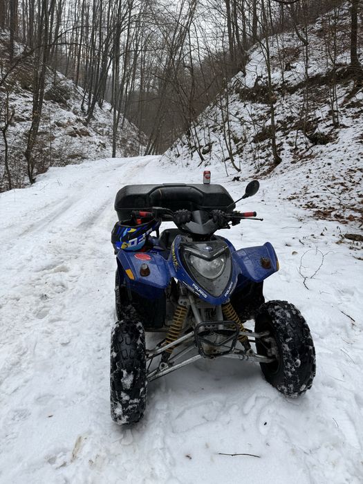 Polaris phoneix 200