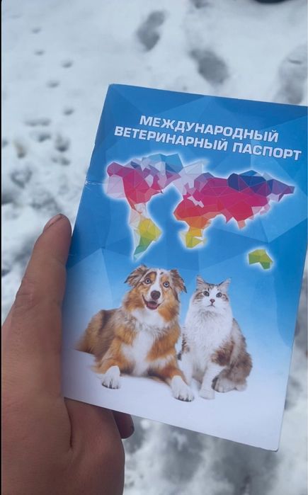 Алабаи сатлат обмер бар