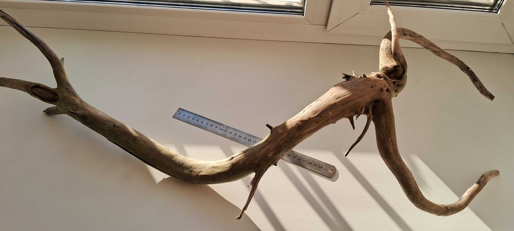 Коряга в аквариум