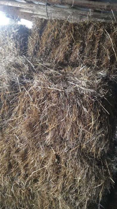 Продавам сено бали