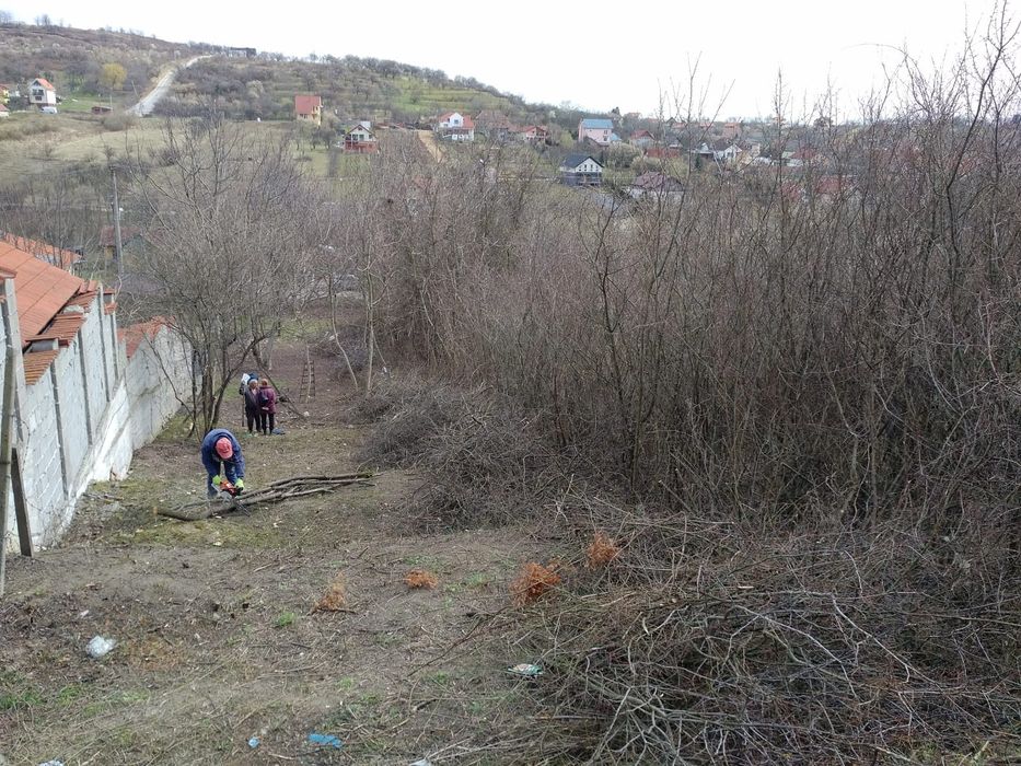 Cosit, amenajări, întrețineri,defrișări, erbicidari, taiere gard viu