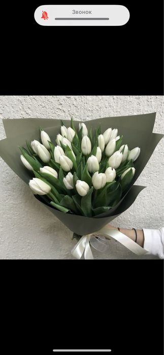 Тюльпаны отпом.