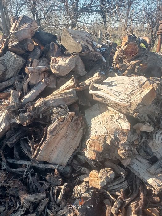 Quruq oʻtin sotiladi mevali daraxt oʻtini