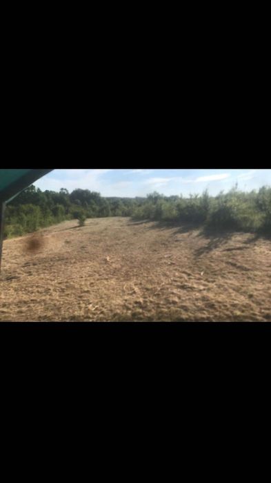 Предлагане на услуги С Булдозери и мулчер.