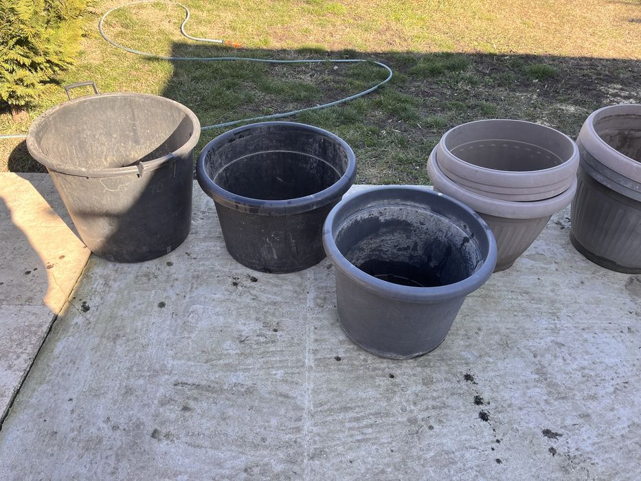 Ghivece mari plante flori