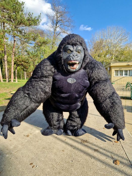 бяло мече Варна , парти мечета