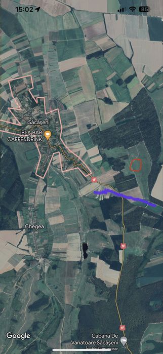 Teren agricol sacaseni