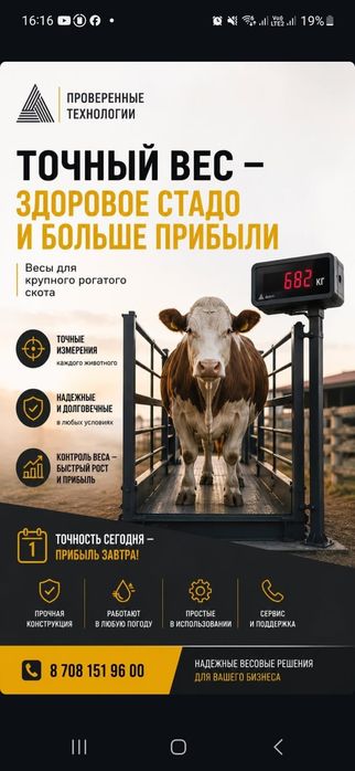 Автомобильные весы, ЖД весы