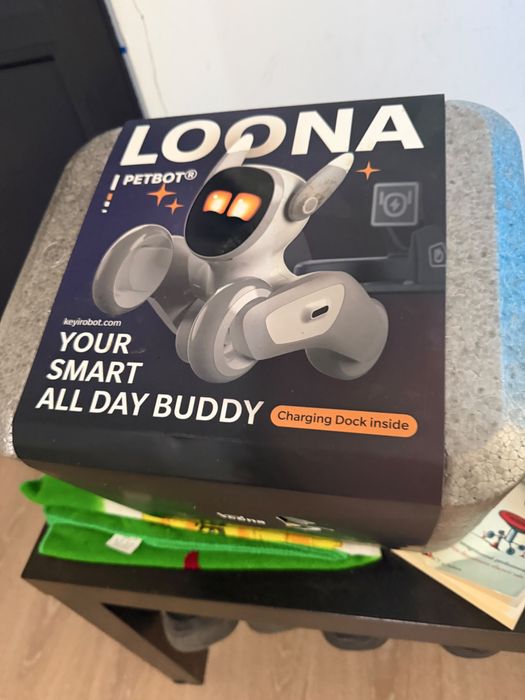 Robot loona pet