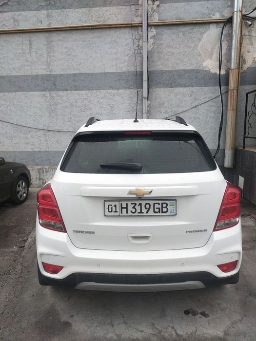 Brinchi qoʼl kraskasi tozza