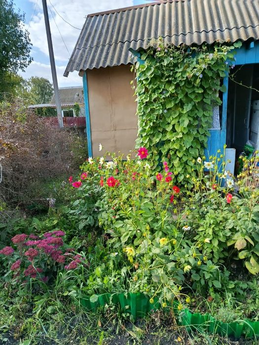 Продам дачу в с/о "эврика"