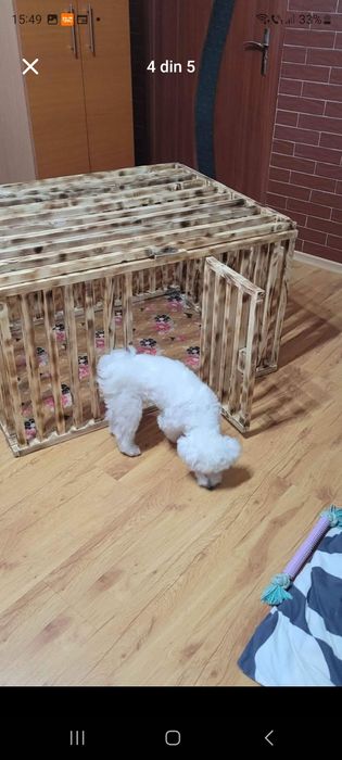 Vând cusca ptr interior