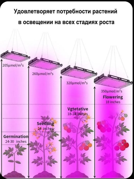 Фито лампа для выращивания растений