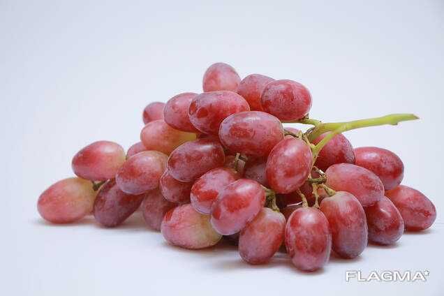 Mevali daraxt | ko'chat | Nihol optom