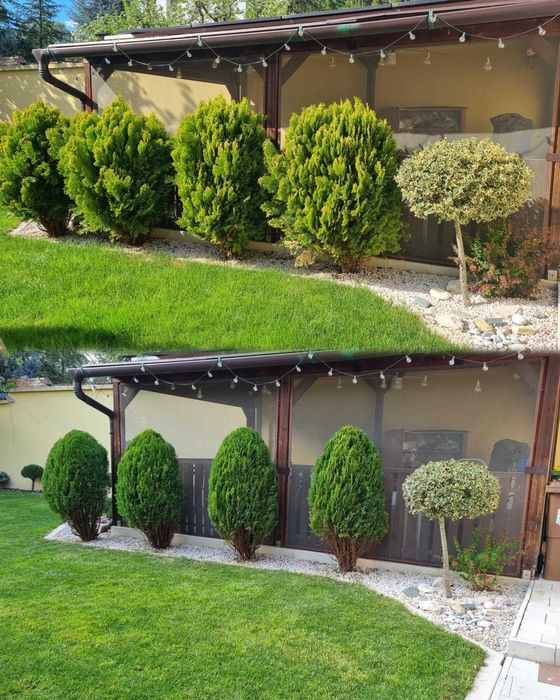 Întreținere Grădini: Tuns Gazon, Gard Viu, Toaletare Pomi & Curățenie Generală