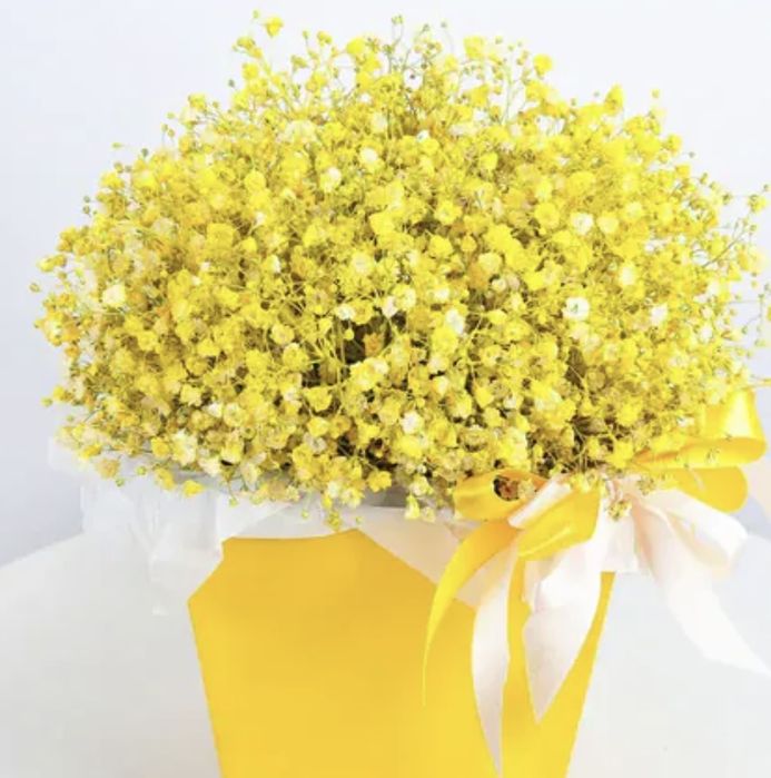 Букет из желтой гипсофилы
