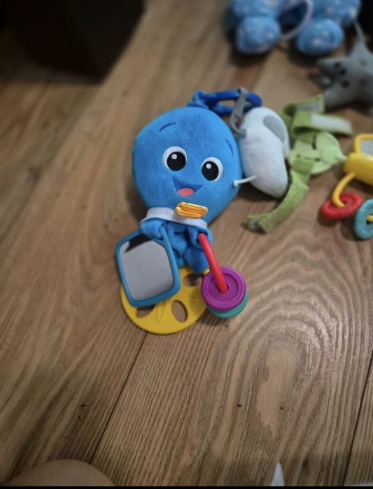 Accesorii carut si patut