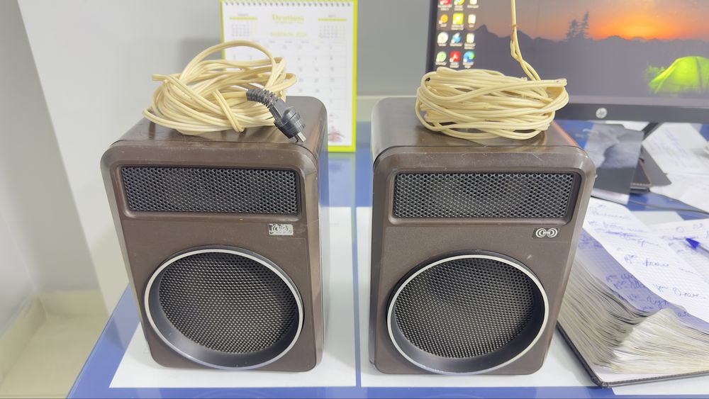 Акустическая система 25 ас