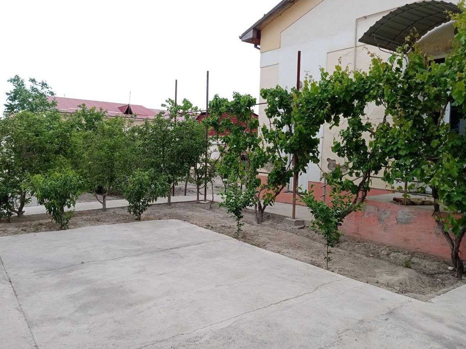 Farg'ona shahar Ilg'or mfy ot choparda joylashgan 6 sotix uy sotiladi