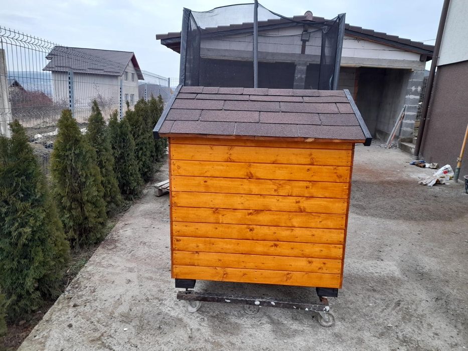 Cusca de câine izolată