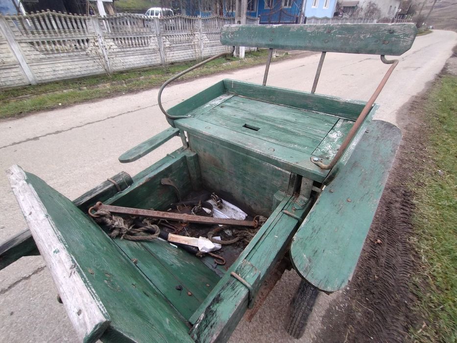 Sareta,caleașca cai