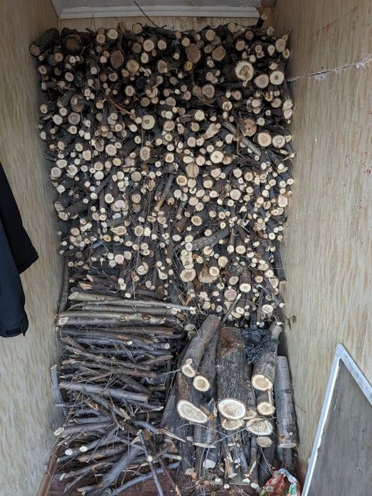 Продам дрова на растопку