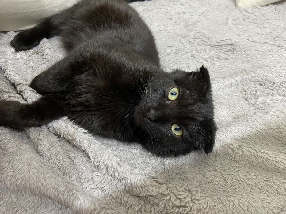 Звоните на номер