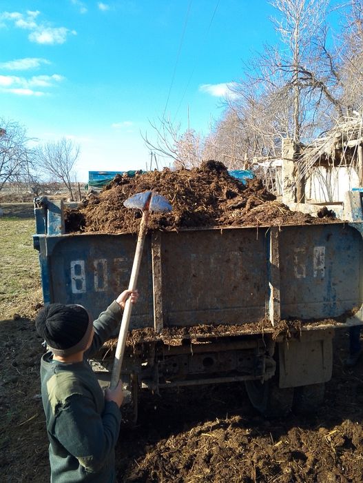 Stroy musur chagʻil gavana shirin qum mol nurisi va boshqa xizmatla