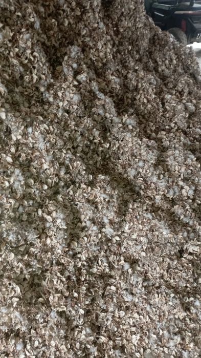 Chanoq bor kelishgan narxda