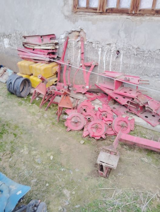 Daichi selka zabchastlari