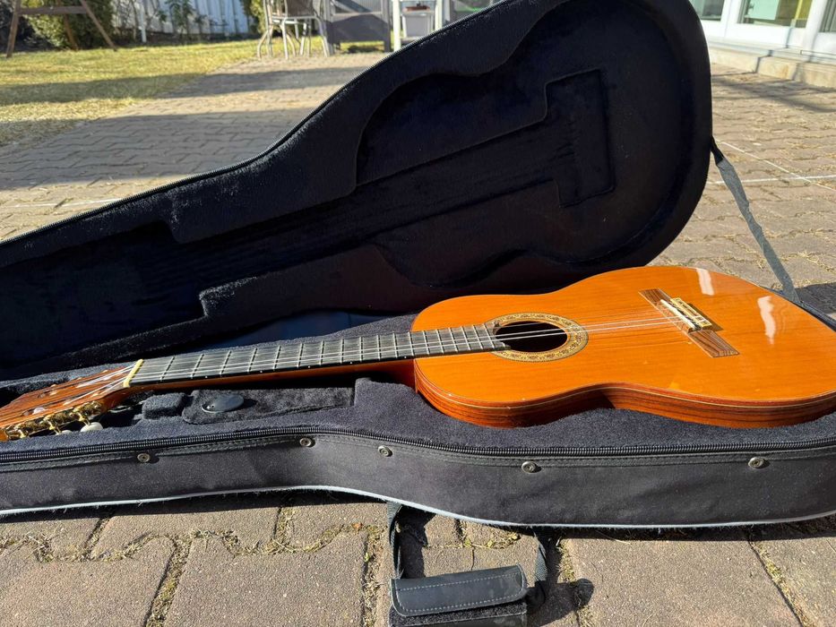 Chitara clasica REGUN Hora - handpicked PLUS Hard-soft case si stativ