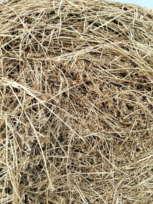 Vând baloți rotunzi lucernă 1,20