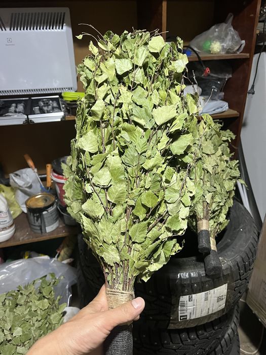 Банные веники, Березовые