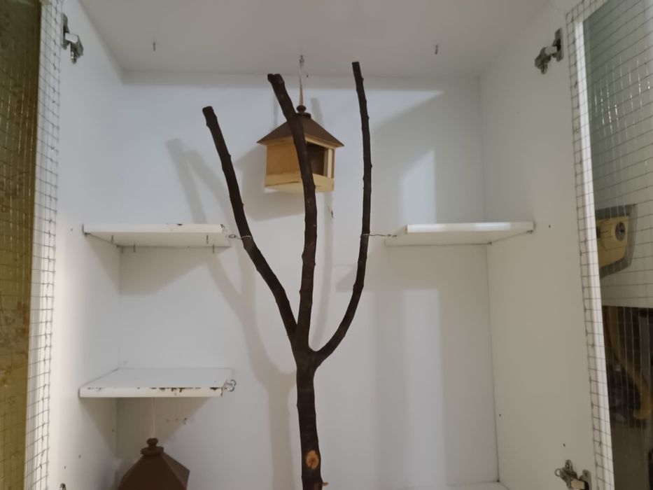 Cușcă pentru veverițe