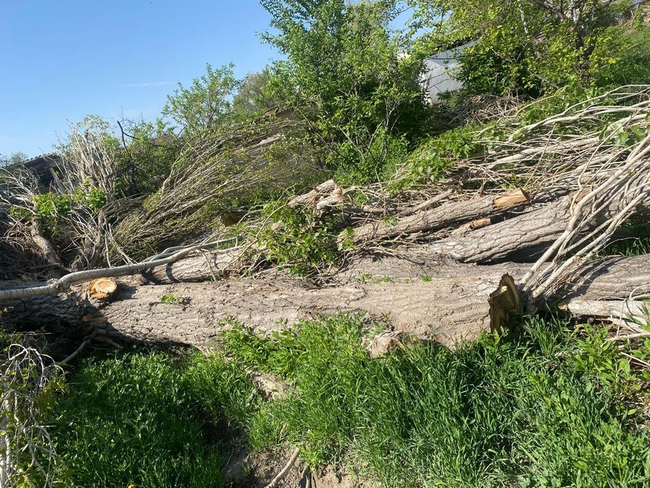 Отдам даром дрова