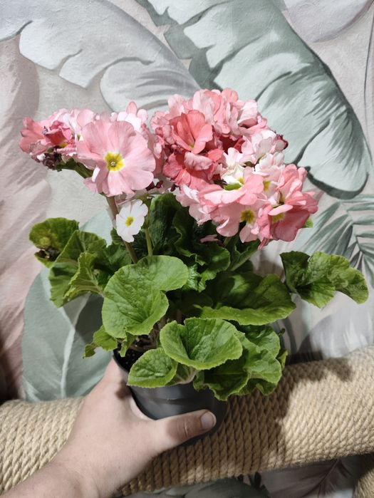 Приглашаю в группу