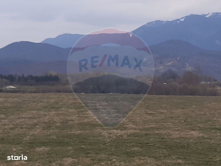 Teren 10,000mp Rasnov / Drumul Panicel