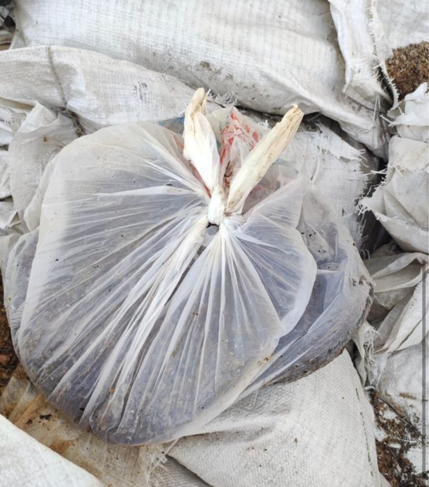 Сушеный лук и свекла мешками