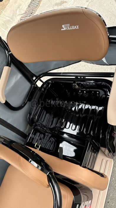 Пассажирский трицикл рикша Skillmax X8 — для взрослых и пожилых