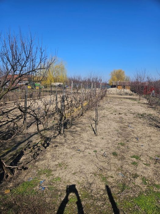 Casa de vanzare, cititi descrierea