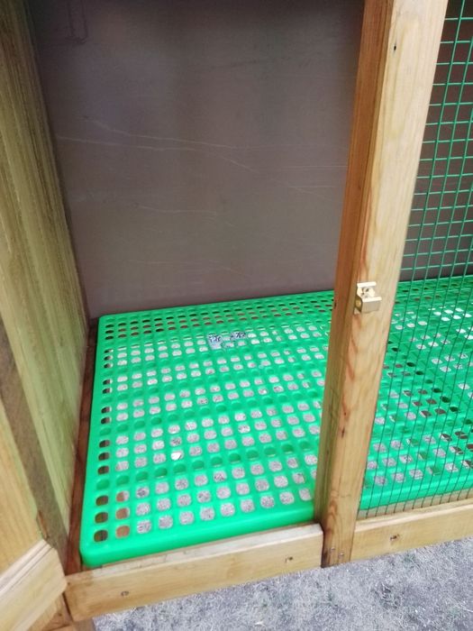 Зайчарник --- нов