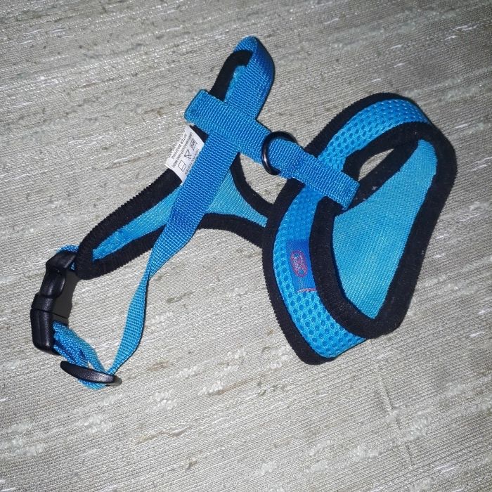 Lot îmbrăcăminte și accesorii cățel talie mică