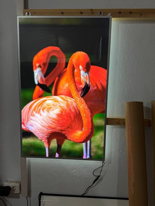 Layt boks O'zbekistonda yangi reklama